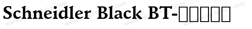 Schneidler Black BT字体转换